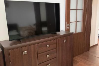 Apartament cu 2 camere semidecomandat, mobilat în Giroc - 4