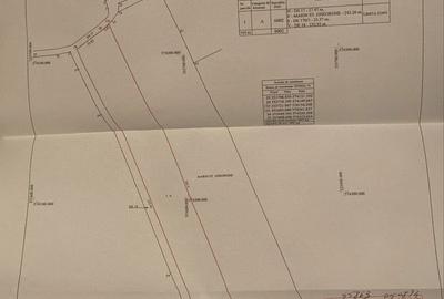 Teren de 6002 mp, în Niculești