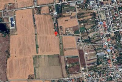 Teren Construcții intravilan de 4000 mp, în 1 Decembrie - 2