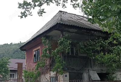 Casa la tara pe Valea Oltului - 1