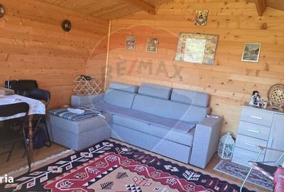 Spațiu comercial, în Păucea - 4