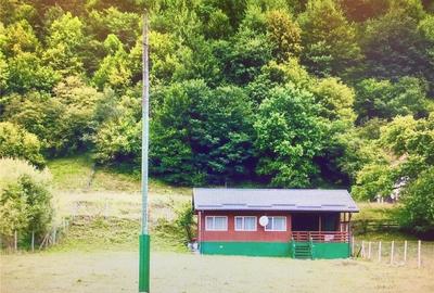 Casă cu 3 camere în Lepșa - 3