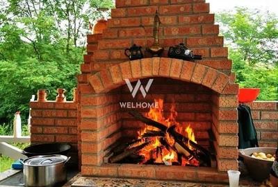 Teren Construcții intravilan de 5129 mp, în Bradu - 8