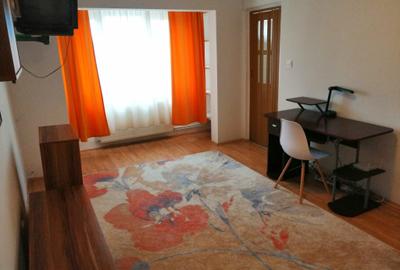 Garsoniera lipovei 250 euro, centrala proprie - 14