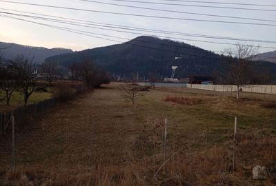 Teren de 1500 mp, în Pângărați - 3