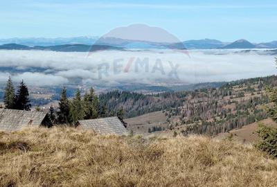 Teren extravilan de 31461 mp, în Panaci - 11