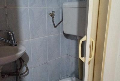 Garsonieră semidecomandată în Nufărul