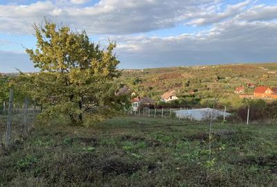 Ichiriez Teren ingradit cu apa si canalizare Oradea, str. Sofiei - 8