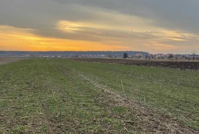 Teren extravilan Gulia Dambovita 3734mp - 3