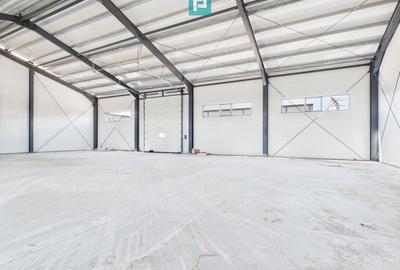 Spațiu industrial, de 440 mp, în Giarmata