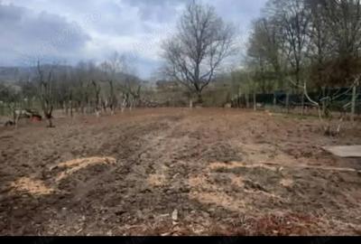 Casă în Stâlpeni - 4