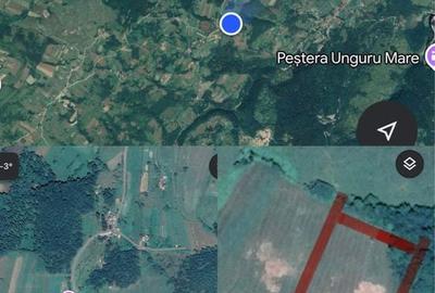 Spațiu comercial, în Șuncuiș - 3