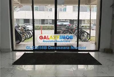 Garsoniera mobilata utilata Pollux Residence, 330 Euro - 11