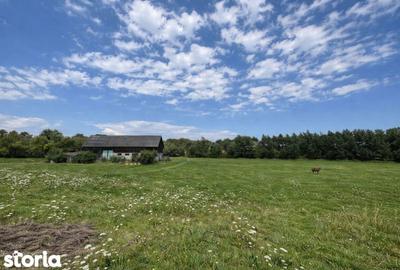 Teren de 3600 mp, în Horodnic - 11