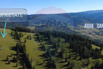 Teren de 47732 mp, în Panaci - 7