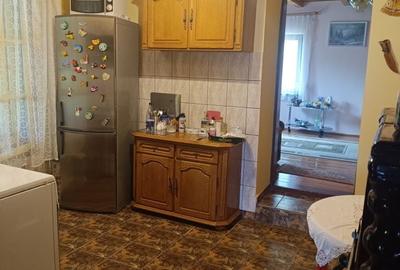 Casă cu 2 camere în Santăul Mare - 7