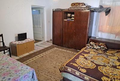 Casa de vazare in Bordestii de jos - 5