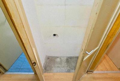 Ap 3 cam tip T de vanzare str Razboieni - 10