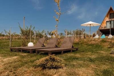 Complex turistic in Baile 1 Mai - 3