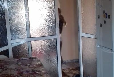 Ocazie!!!!  78 900 euro  URGENT - 7