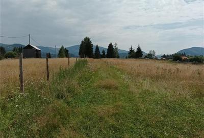 Casă în Panaci - 7