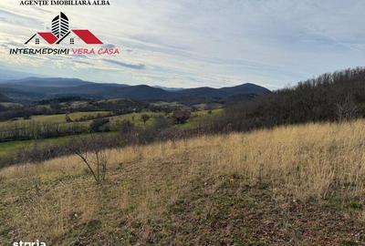 Teren de 8010 mp, în Vințu de Jos - 2