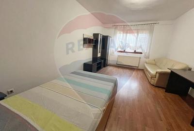 Apartament cu 1 camere de inchiriat in zona vivo mall - 2