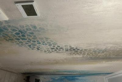 Casă cu 3 camere cu Teren 330 Mp în Dumbrăvița - 9