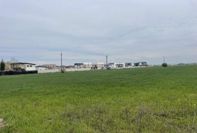 Teren de 11470 mp, în Domnești - 9