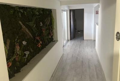 Birou, de 200 mp, în Chitila - 3