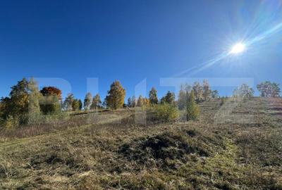 Teren de 9575 mp, în Central - 1