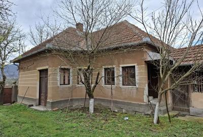Casă cu 3 camere cu Teren 1677 Mp în Pleșcuța - 6