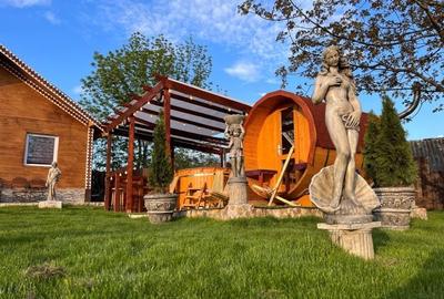 Proprietate specială, de 850 mp, în Poiana (Schitu Duca) - 16