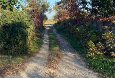 Teren Construcții intravilan de 900 mp, în Butimanu - 3