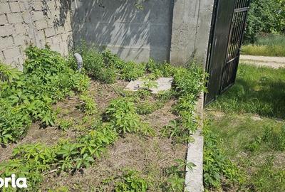 Teren de 300 mp, în Dobroești - 8