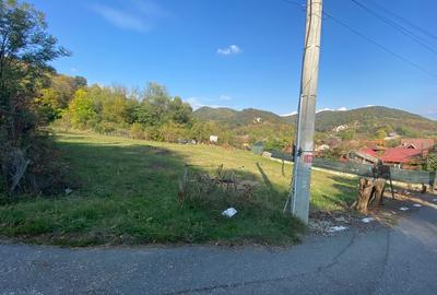 Teren Construcții intravilan de 3640 mp, în Central - 1