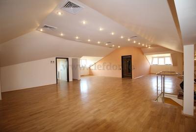 Vila Individuala de Inchiriat in Zona Iancu Nicolae - 12