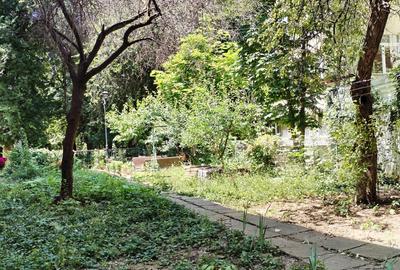 Floreasca, Ceaikovski, reabilitat, toate actele, etaj 3, liber, comision zero, Floreasca, Ceaikovski, reabilitat, toate actele, etaj 3, liber, comision zero, - 14