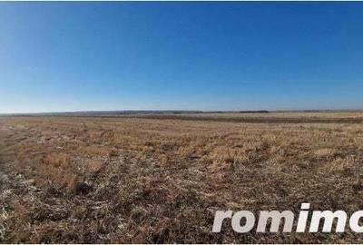 Teren Gradinari, cota 1/2. ID: R1983933 - 6