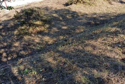 Spațiu comercial, în Central - 1