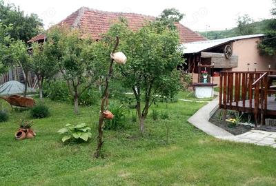 Casă cu 3 camere în Borăscu - 7