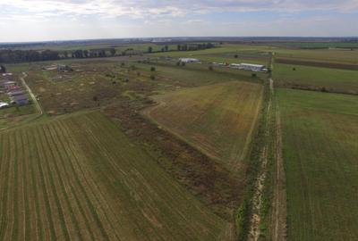 Teren agricol intravilan de 5000 mp, în Ciorogârla - 6