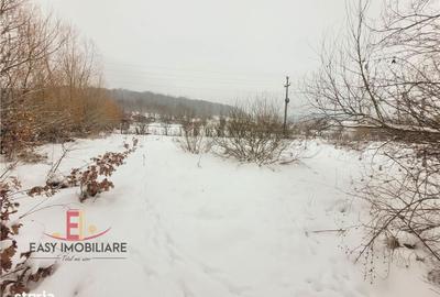 Casă cu 3 camere cu Teren 1079 Mp în Livezeni - 5