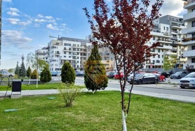 Penthouse cu 4 camere decomandat în Tomis Plus - 23