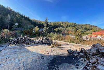 Teren intravilan 2500 mp - 1