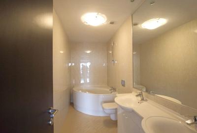 Penthouse 5 camere Herastrau North Area Lake Wiew - 9