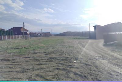 Teren de 5000 mp, în Podu Roș - 3