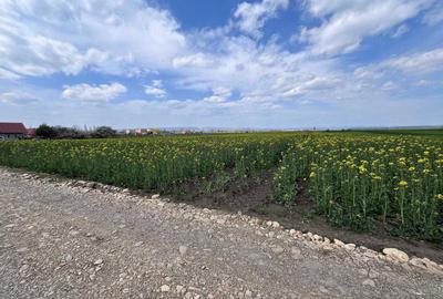 Spațiu comercial, în Bogata - 5