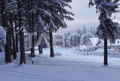 Pensiune de vanzare la cheie situata in Paltinis langa Arena Platos - 6