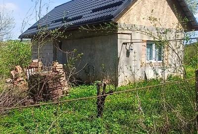 Casă cu Teren 8000 Mp în Mădăraș - 5